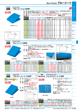 Blue Sheets ブルーシート