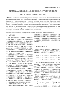 音響流駆動力と音響放射圧による超音波空気ポンプ内部の有限要素解析