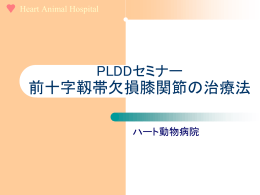 前十字靱帯欠損膝関節の治療法