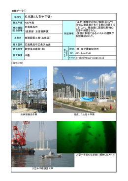 柱状礁（大型十字礁）