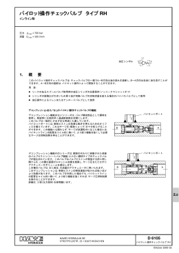 パイロットチェックバルブ タイプ RH: D 6105