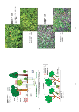 98 99 草本 層植被 率 100 ％ 林床 被覆率 100 ％ （林床被覆率は「エ 土