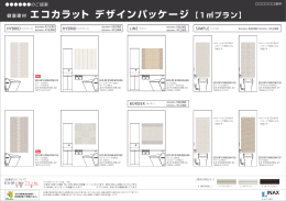 エコカラット デザインパッケージ 【1  プラン】
