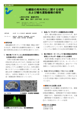 牡蠣殻の再利用化に関する研究 および繊毛運動機構の
