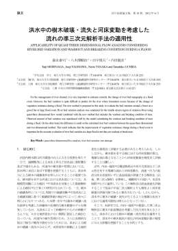 洪水中の樹木破壊・流失と河床変動を考慮した 流れの準三次 - C