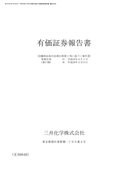 第17期 有価証券報告書
