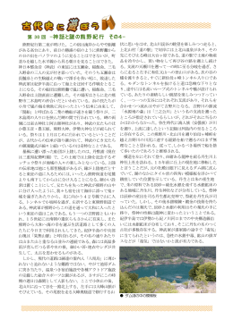 神話と謎の熊野紀行 その4
