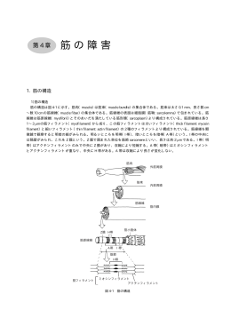 筋 の 障 害