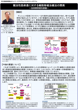 難治性筋疾患に対する細胞移植治療法の開発（PDF：231KB）