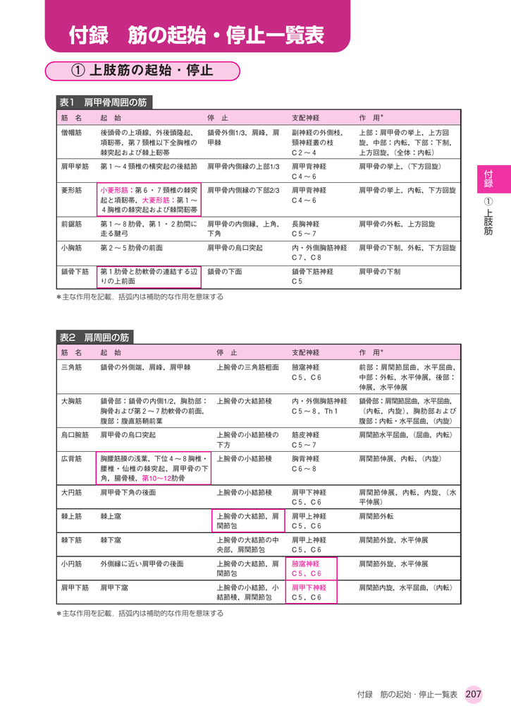 付録 筋の起始 停止一覧表