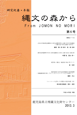 鹿児島（鶴丸）城前後の城と町づくり