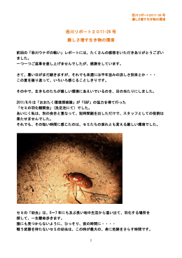 呑川リポート2011-26 号 厳しさ増す生き物の環境