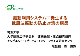 振動利用システムに発生する 低周波振動の防止対策の構築