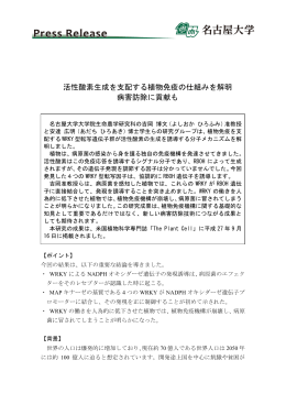 活性酸素生成を支配する植物免疫の仕組みを解明 病害