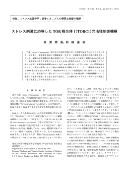 ストレス刺激に応答した TOR 複合体1（TORC1）の活性制御機構