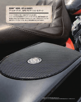 boom!&trade; audio , GPS & GauGES