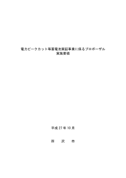 電力ピークカット等蓄電池実証事業に係るプロポーザル 実施