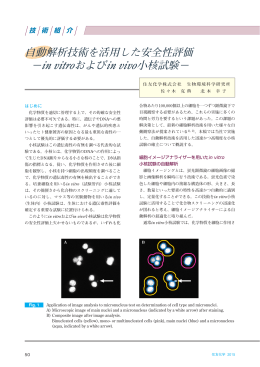 自動解析技術を活用した安全性評価 &minus;in vitroおよび