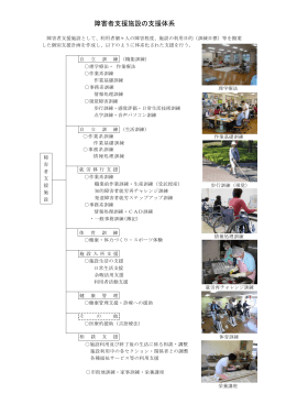障害者支援施設の支援体系