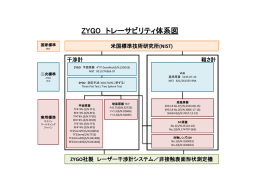 ZYGO トレーサビリティ体系図