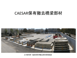 撤去橋梁の確認状況 長橋（新潟県、北陸地整）