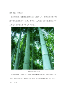 第32話 木洩れ日 織田信長は、宣教師に地球は丸いと教え