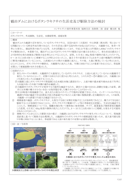 鶴田ダムにおけるボタンウキクサの生活史及び駆除方法の検討