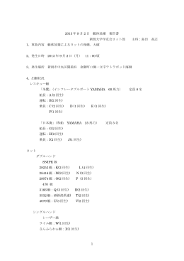 1 2013 年 9 月 2 日 艇体放棄 報告書 新潟大学学友会ヨット部 主将