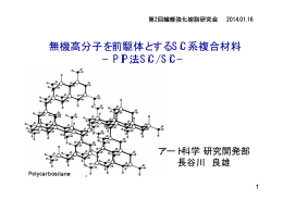 無機高分子を前駆体とするSiC系複合材料 &minus;PIP法SiC/SiC&minus;