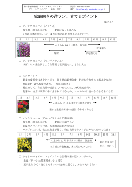 家庭向きの洋ラン、育てるポイント
