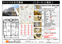 サリナス大名弐番館 インターネット無料