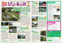 大名庭園に行こう 大名庭園に行こう