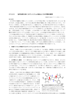 研究成果 協同効果を導く分子システムの創出とその学際的展開