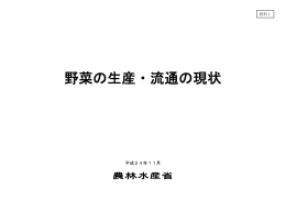 野菜の生産・流通の現状(資料1)（PDF：946KB）