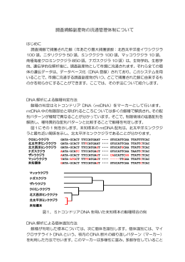 調査捕鯨副産物の流通管理体制について
