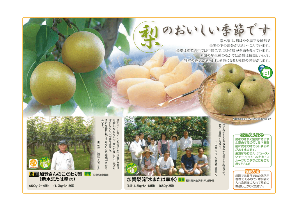 加登さんのこだわり梨 新水または幸水 加賀梨 新水または幸水