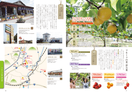 幸水 豊水 新高
