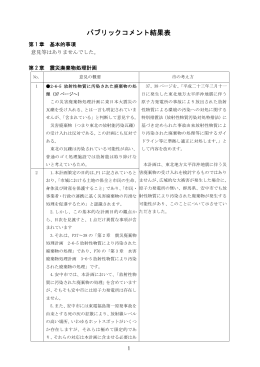 パブリックコメント結果表