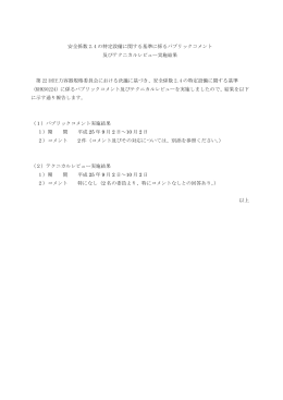 安全係数 2.4 の特定設備に関する基準に係るパブリックコメント 及び