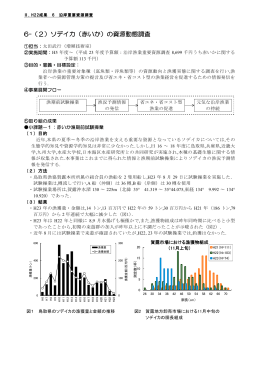 6-（2）ソデイカ（赤いか）の資源動態調査