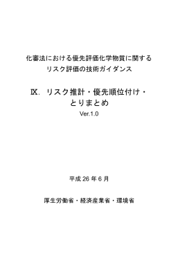 Ⅸ．リスク推計・優先順位付け・ とりまとめ