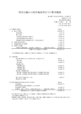 特許出願から特許権取得までの費用概算 - 南法律特許事務所 Minami