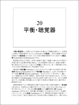 020平衡・視聴覚