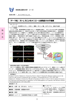 （テーマ名）薬物治療前後の ADHD の事象関連