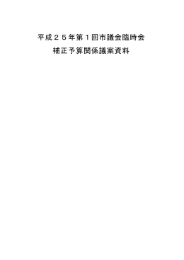 平成25年第1回市議会臨時会 補正予算関係議案資料