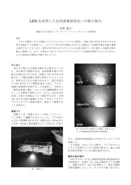 LED を活用した沿岸漁業活性化への取り組み