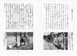 稲掛け「はさ」