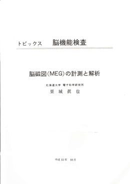 脳磁図の計測と解析? （pdf）