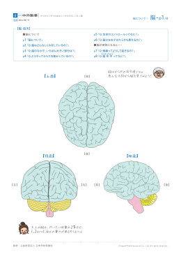 00-脳 _pdf-無