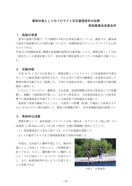 暑熱対策としてのドロマイト石灰屋根塗布の効果 西部農業改良普及所 1